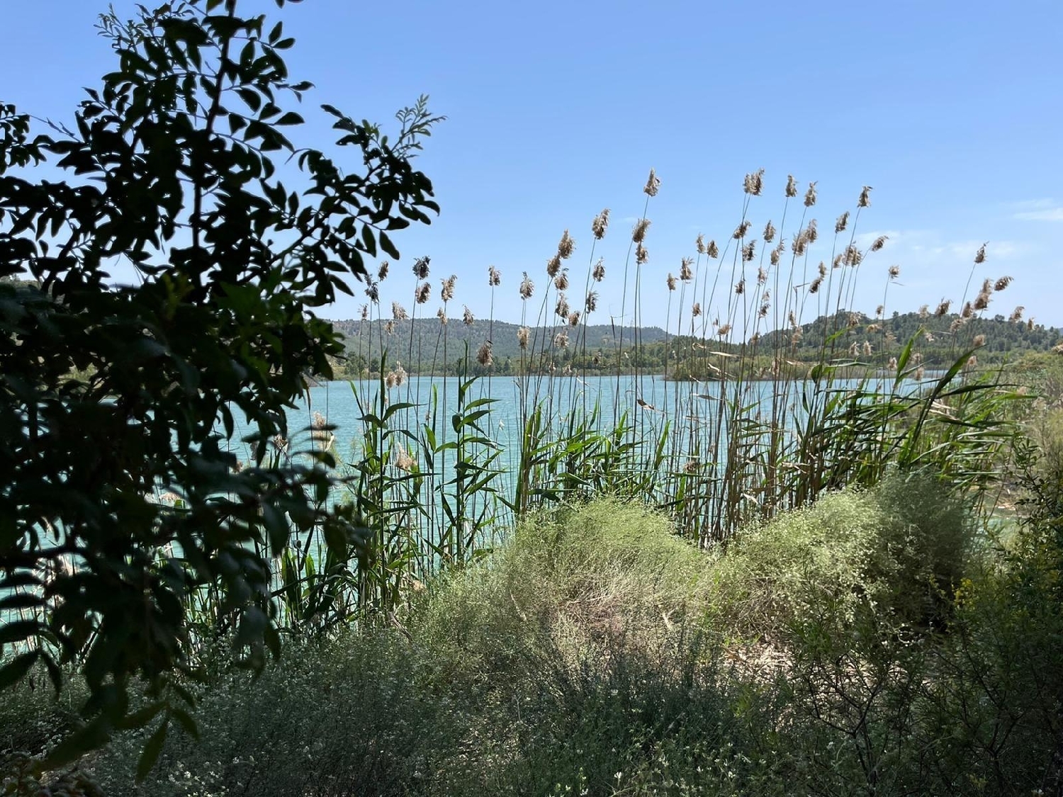  till salu villa Calasparra Noroeste 15