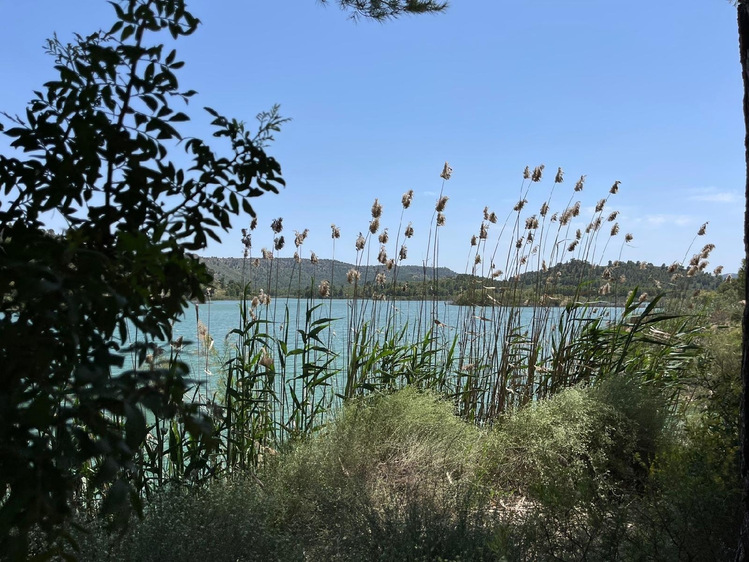  till salu villa Calasparra Noroeste 14