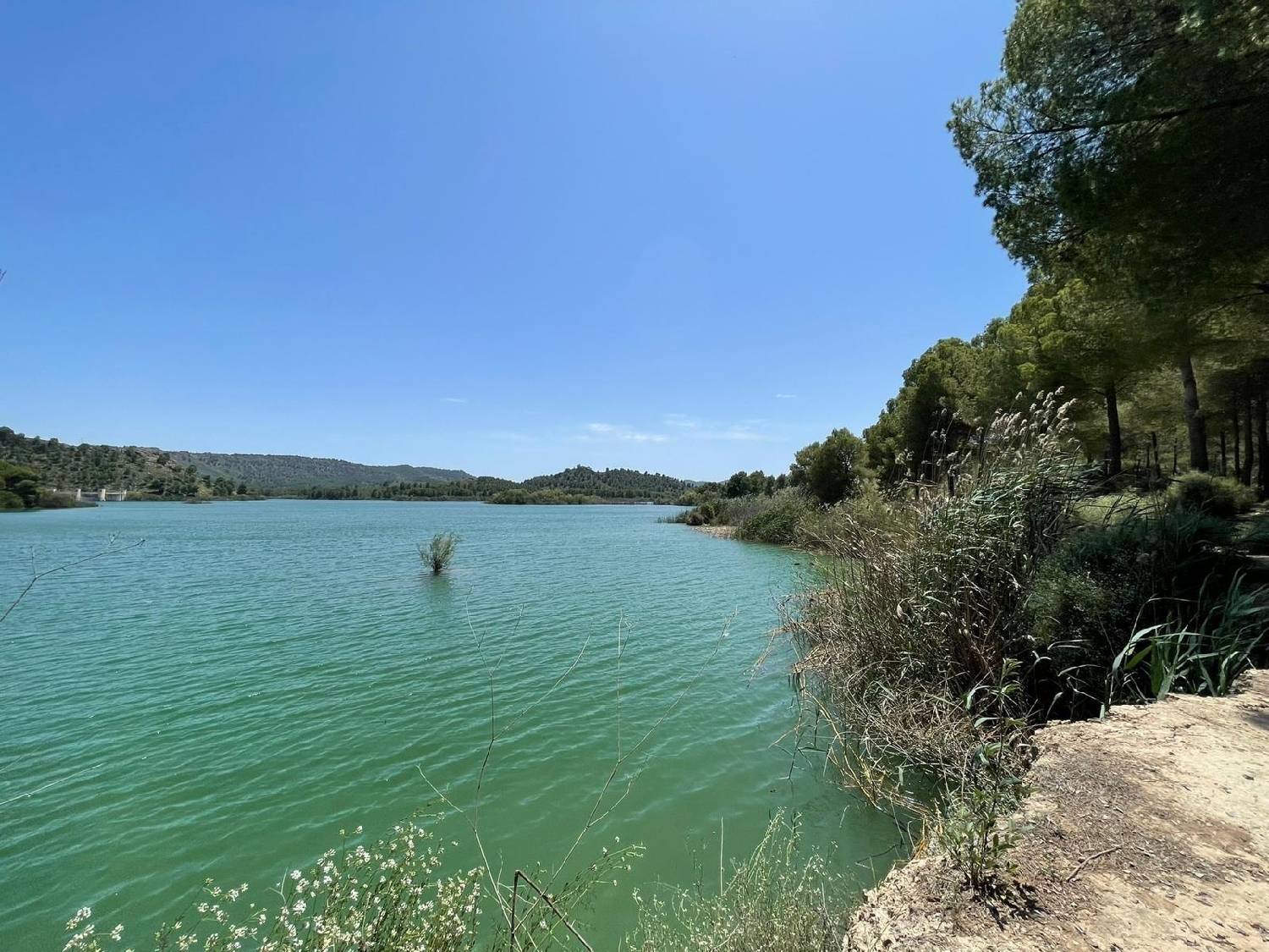  till salu villa Calasparra Noroeste 30