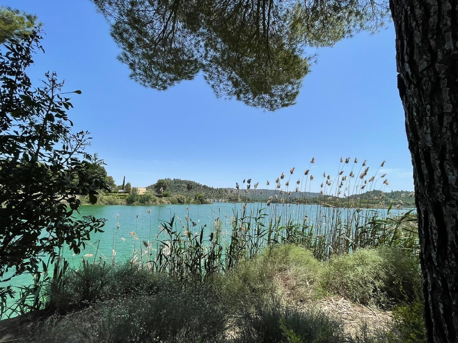  till salu villa Calasparra Noroeste 17