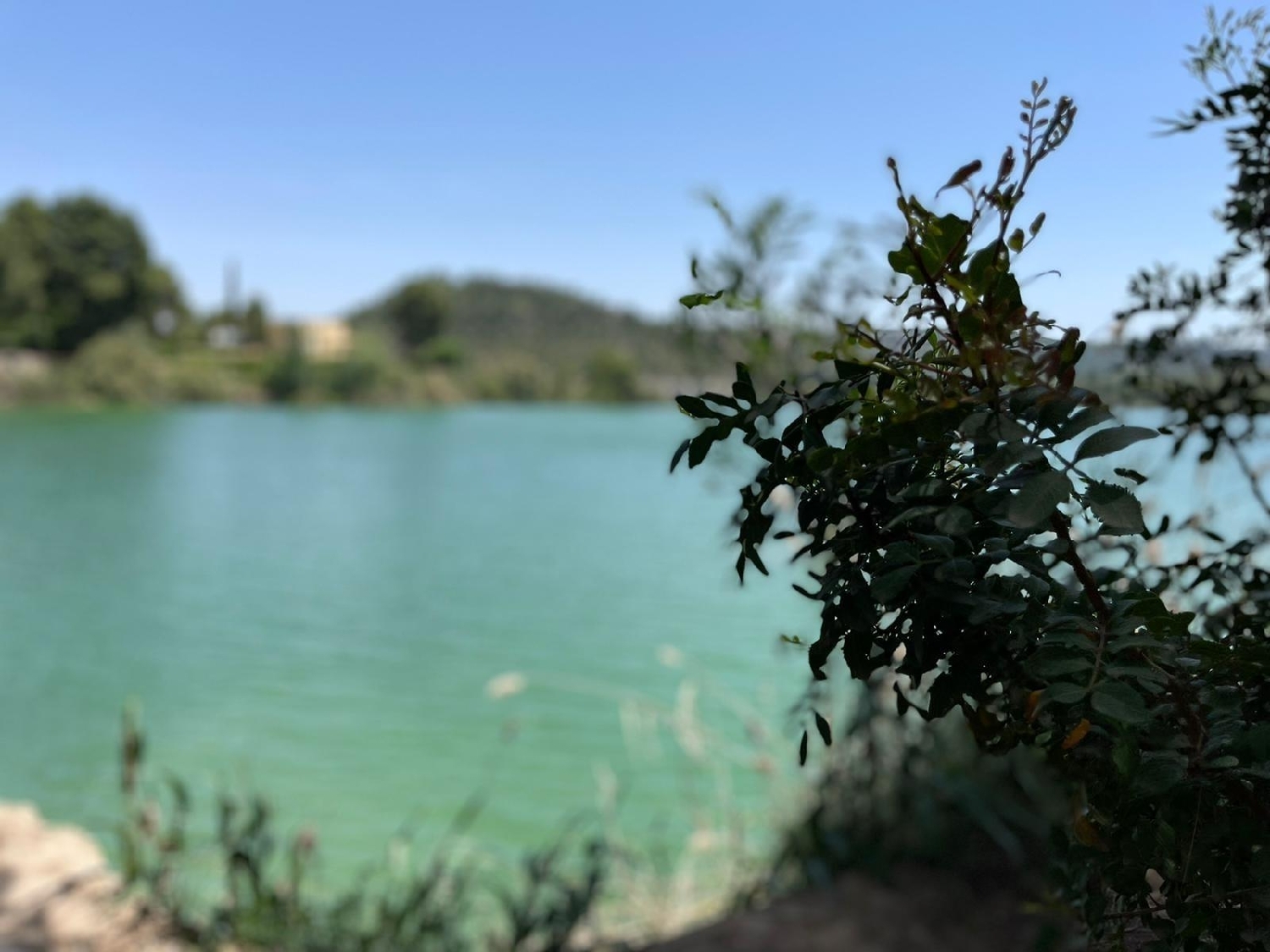  till salu villa Calasparra Noroeste 16