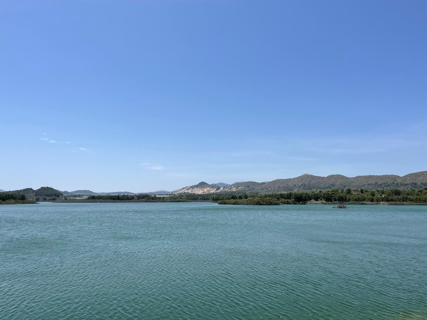  till salu villa Calasparra Noroeste 11