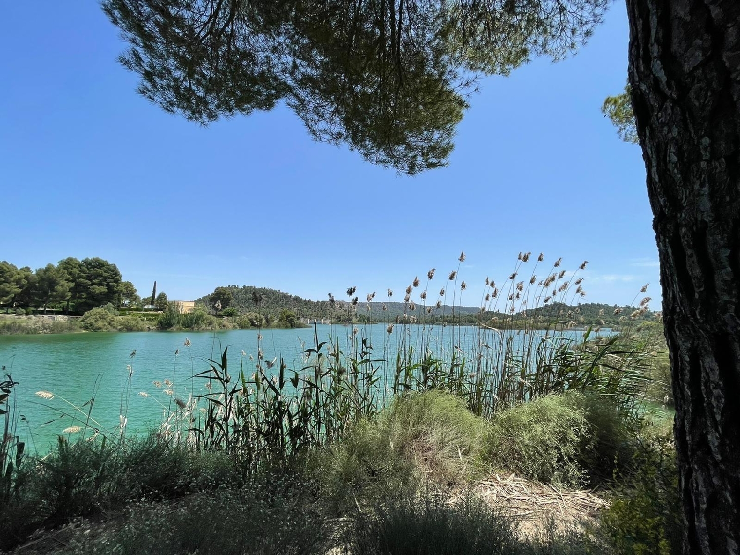  till salu villa Calasparra Noroeste 18