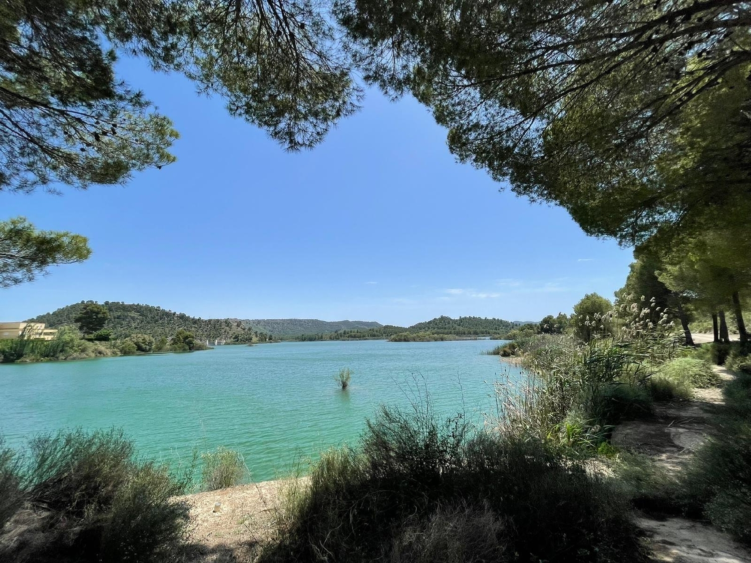  till salu villa Calasparra Noroeste 33