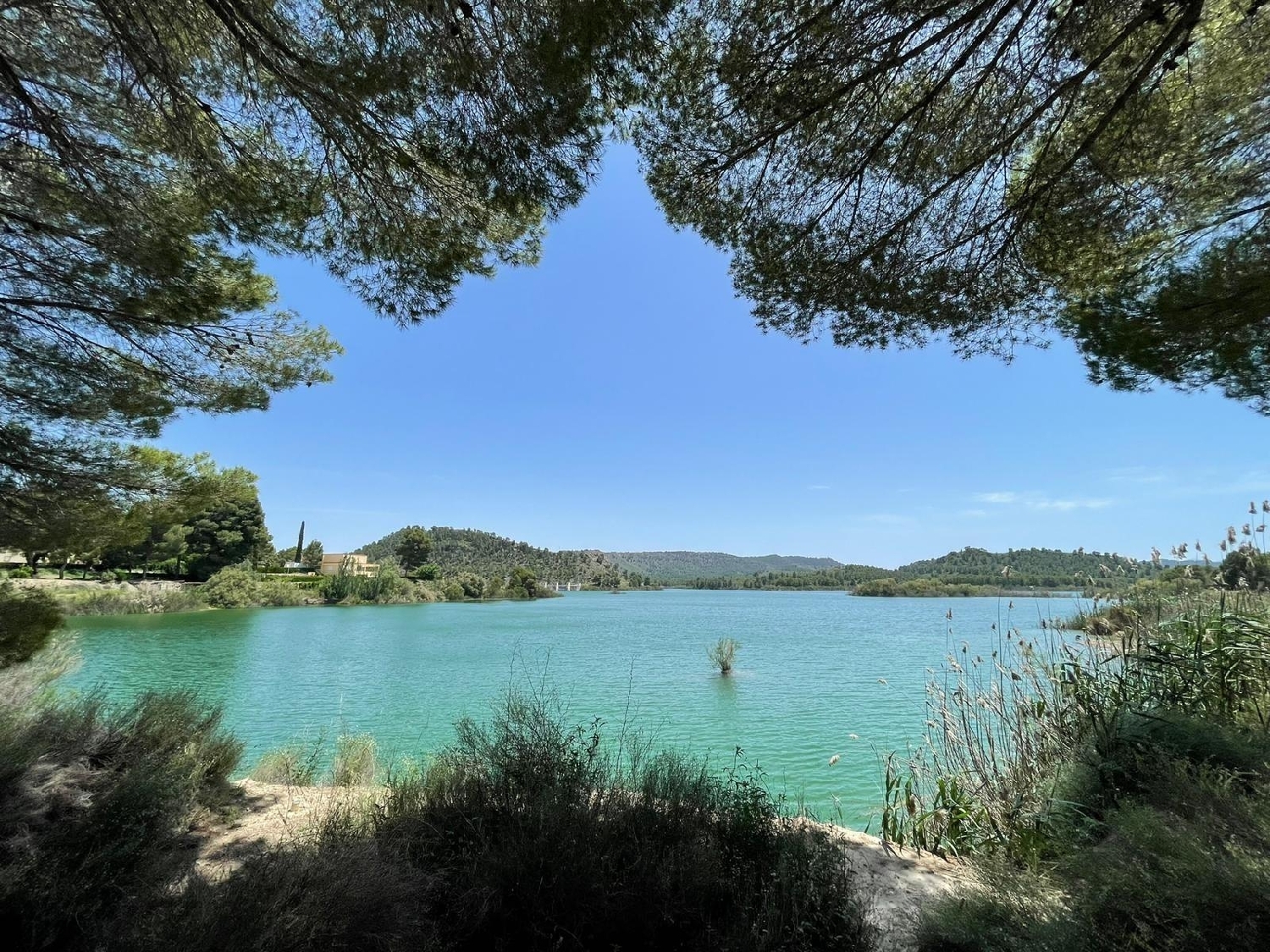  till salu villa Calasparra Noroeste 34