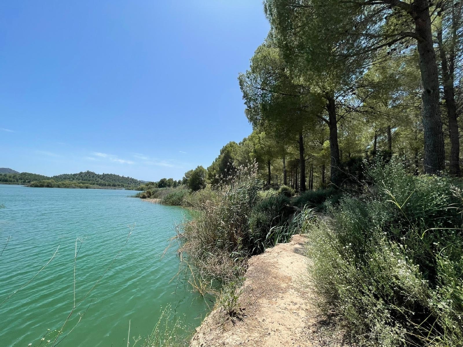  till salu villa Calasparra Noroeste 29