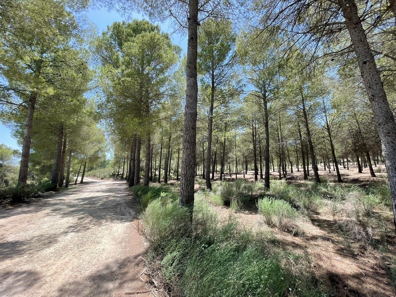  till salu villa Calasparra Noroeste 20