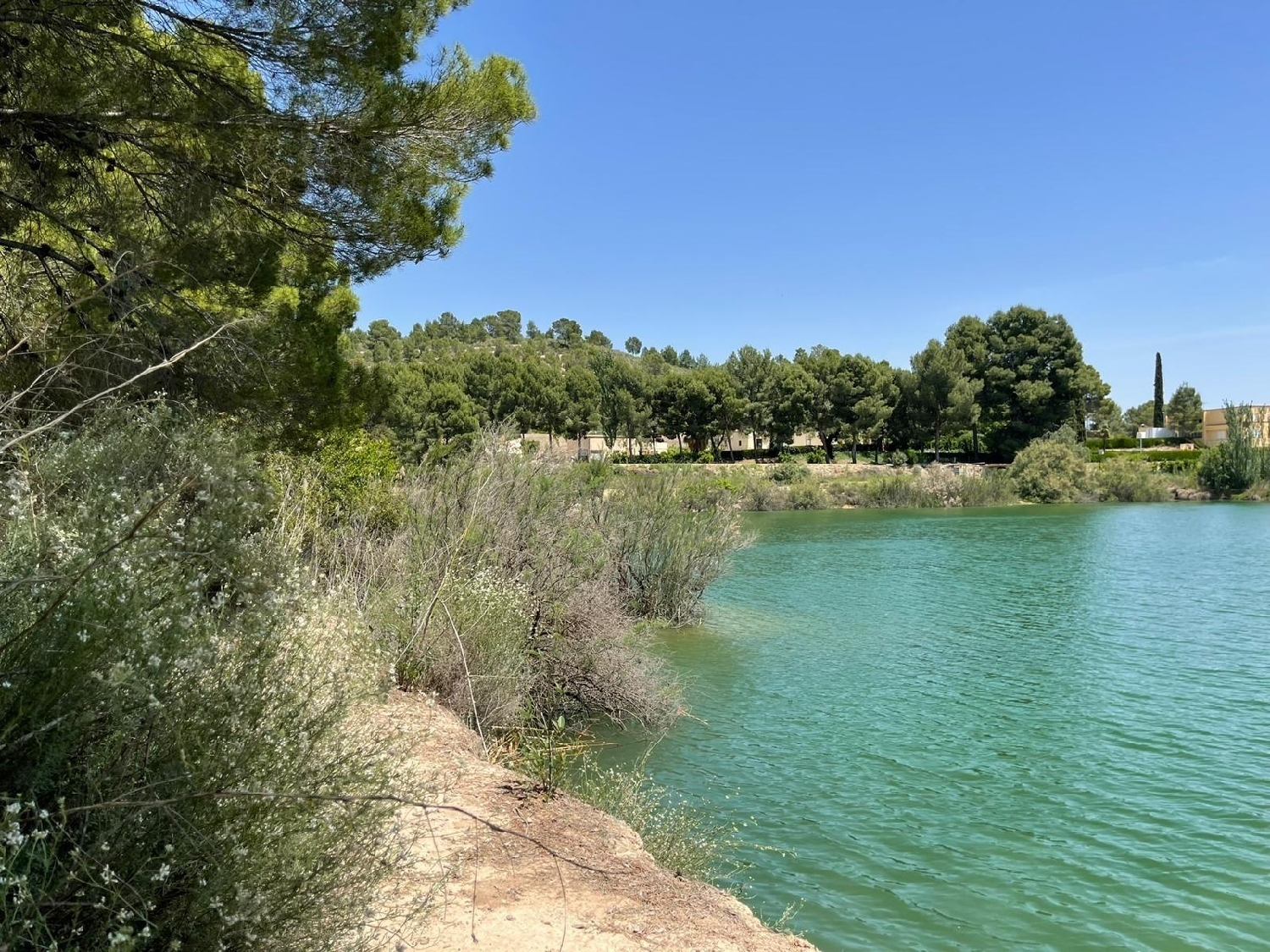  till salu villa Calasparra Noroeste 31