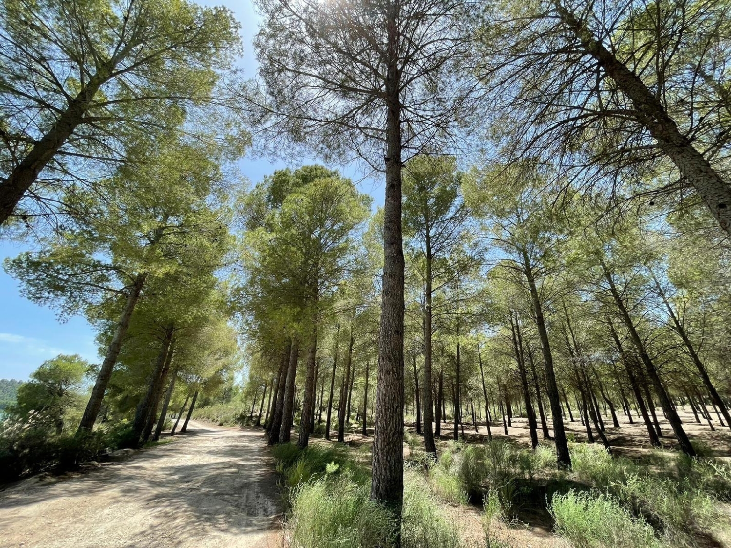  till salu villa Calasparra Noroeste 19