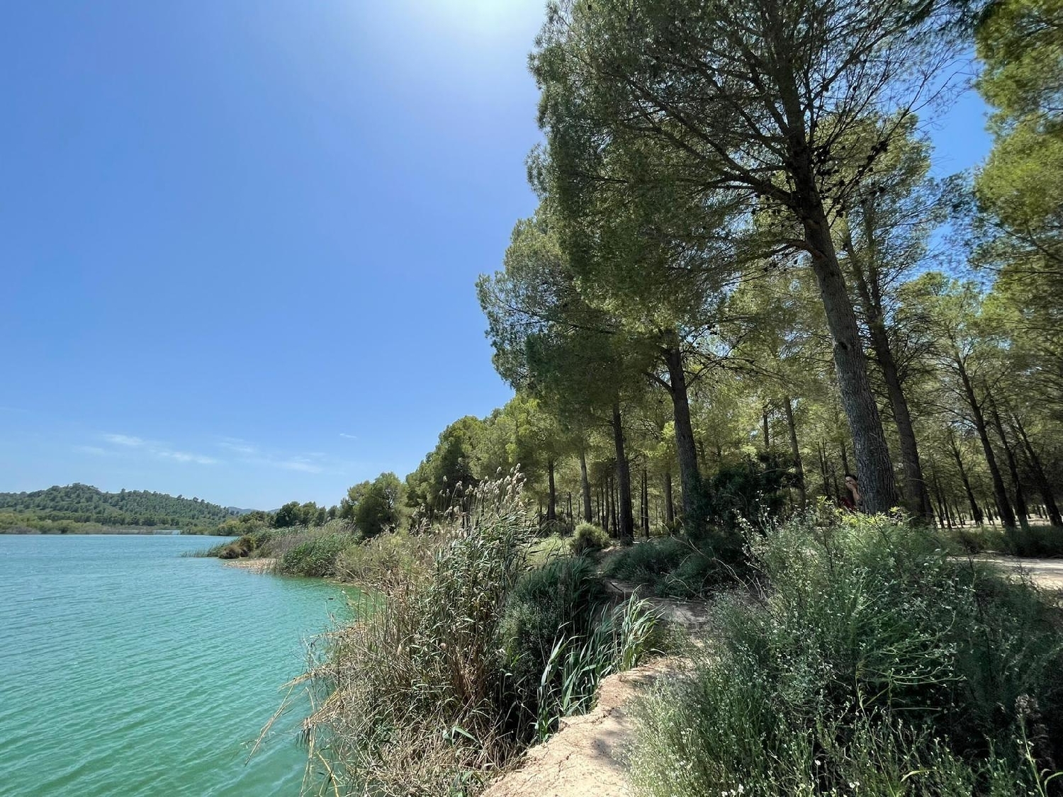  till salu villa Calasparra Noroeste 28