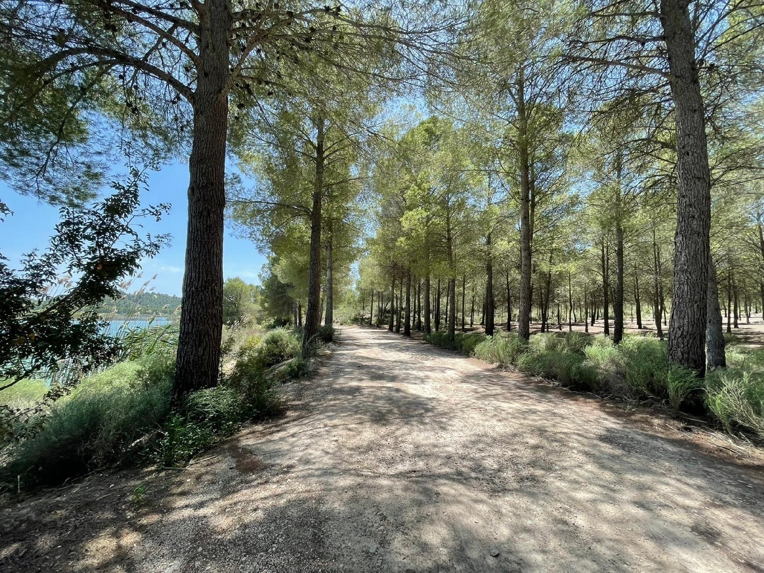  till salu villa Calasparra Noroeste 23