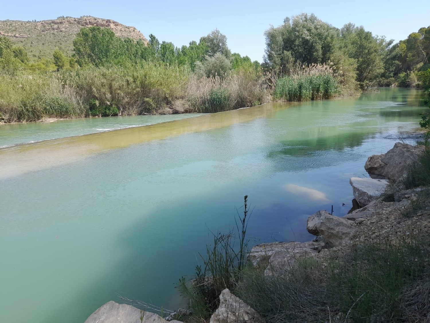  till salu villa Calasparra Noroeste 38