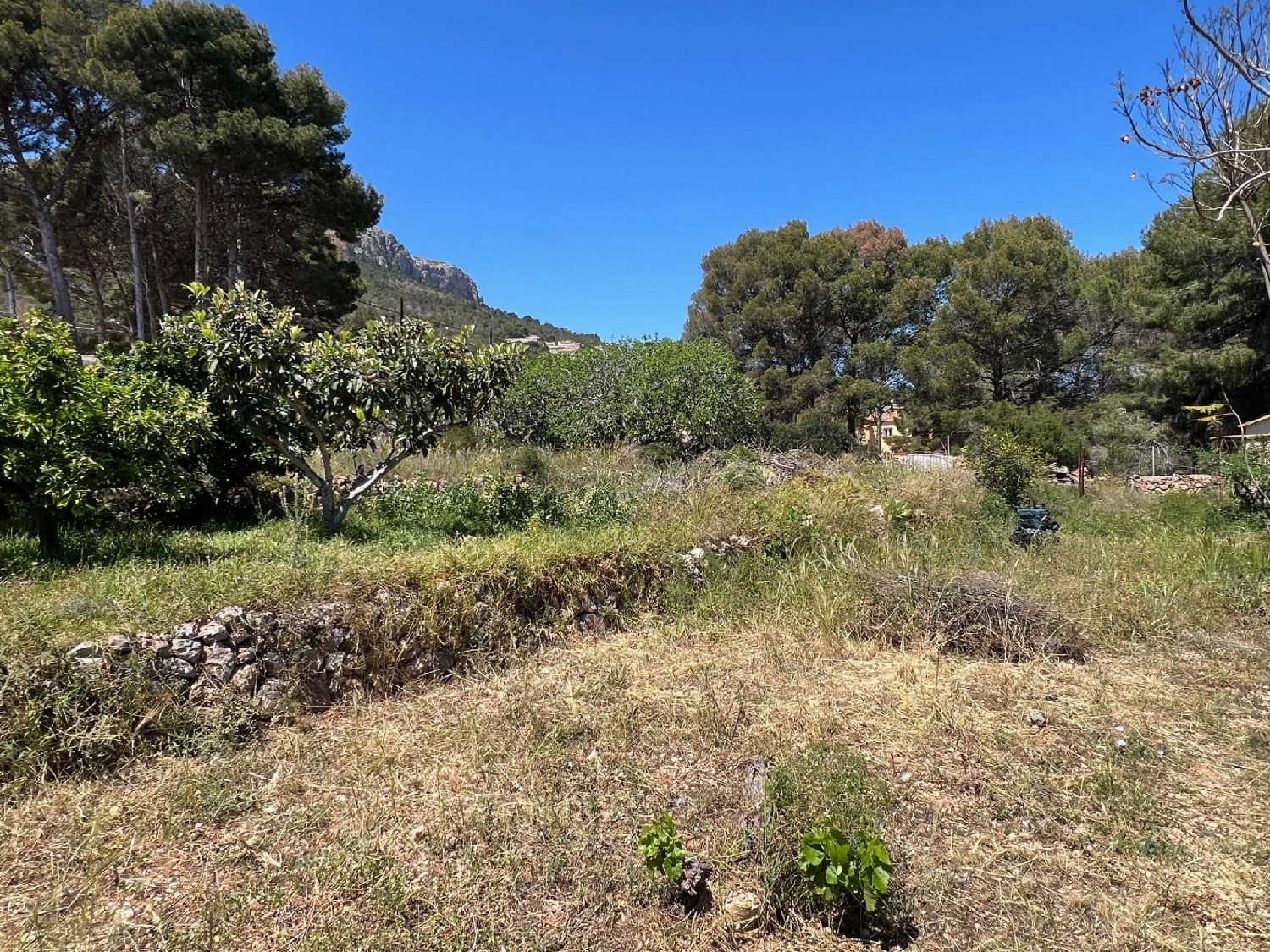 kaufen Villa Calpe Marina Alta 7