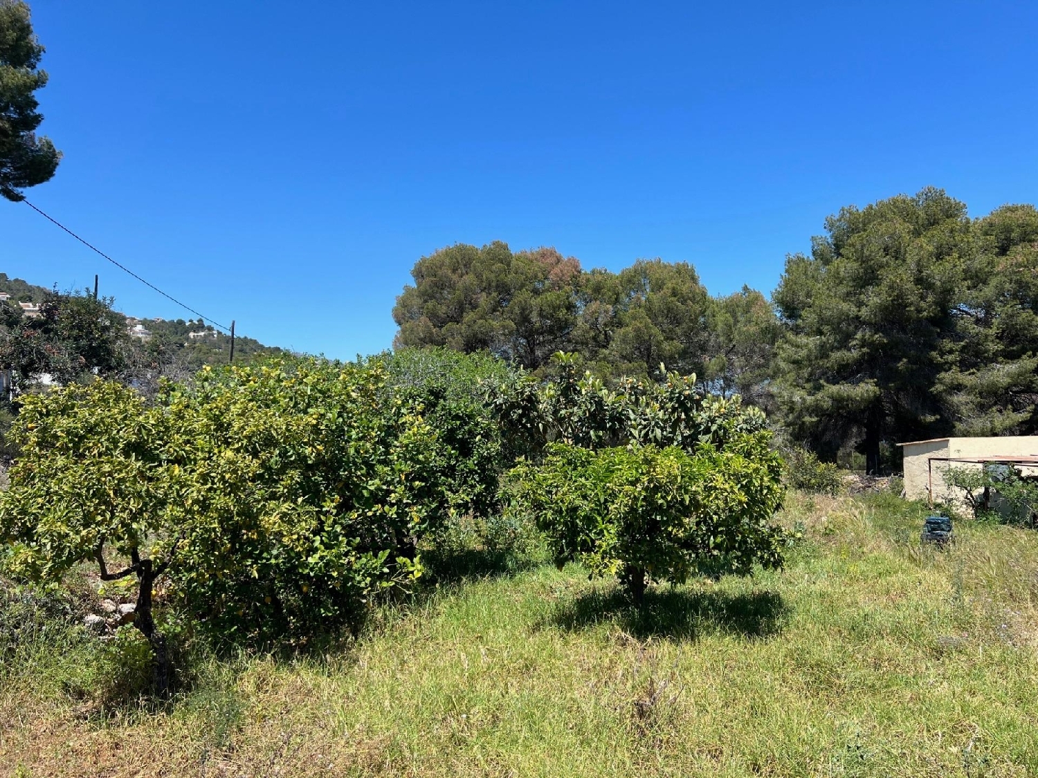 kaufen Villa Calpe Marina Alta 5