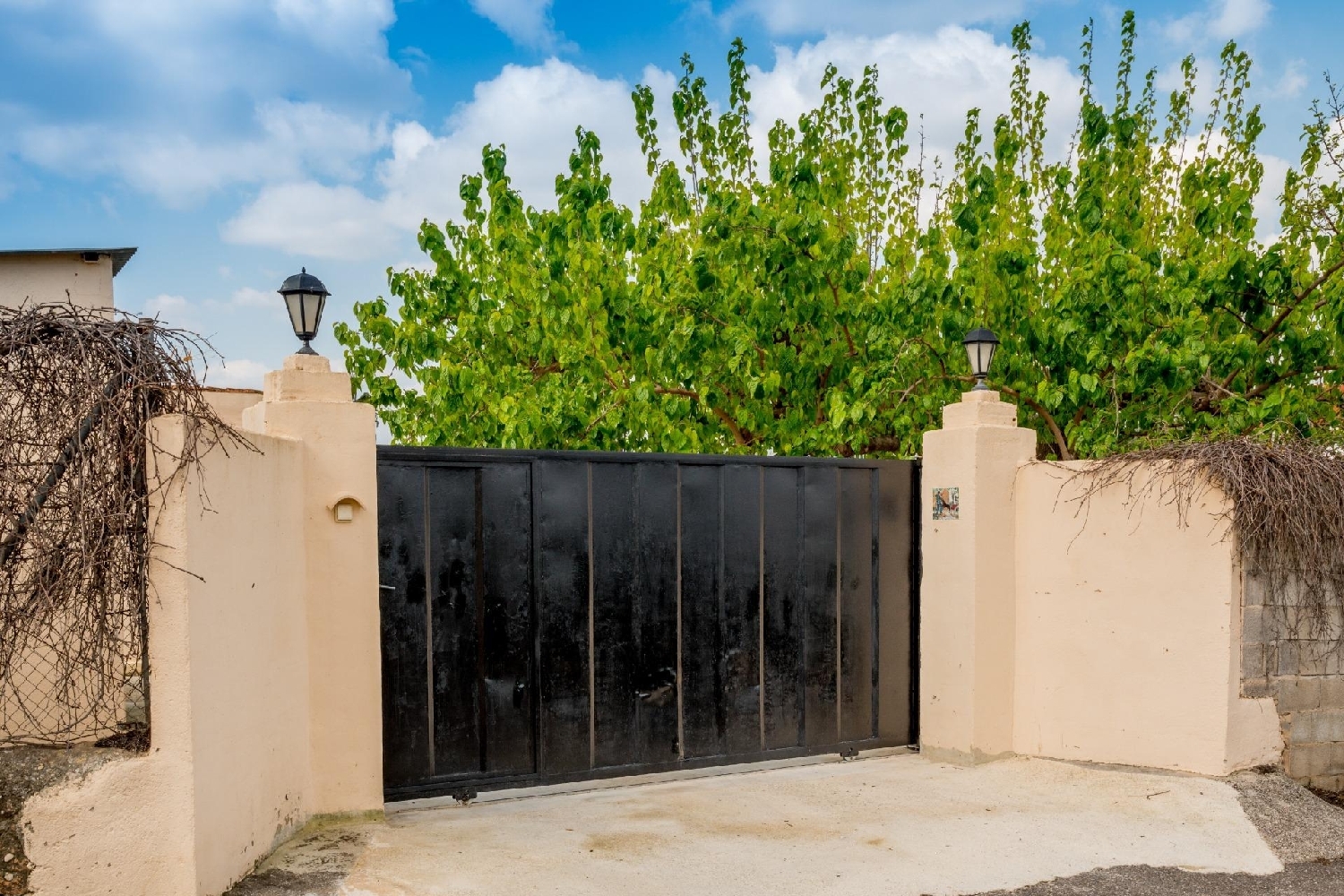  till salu villa Canals Costera (La) 4