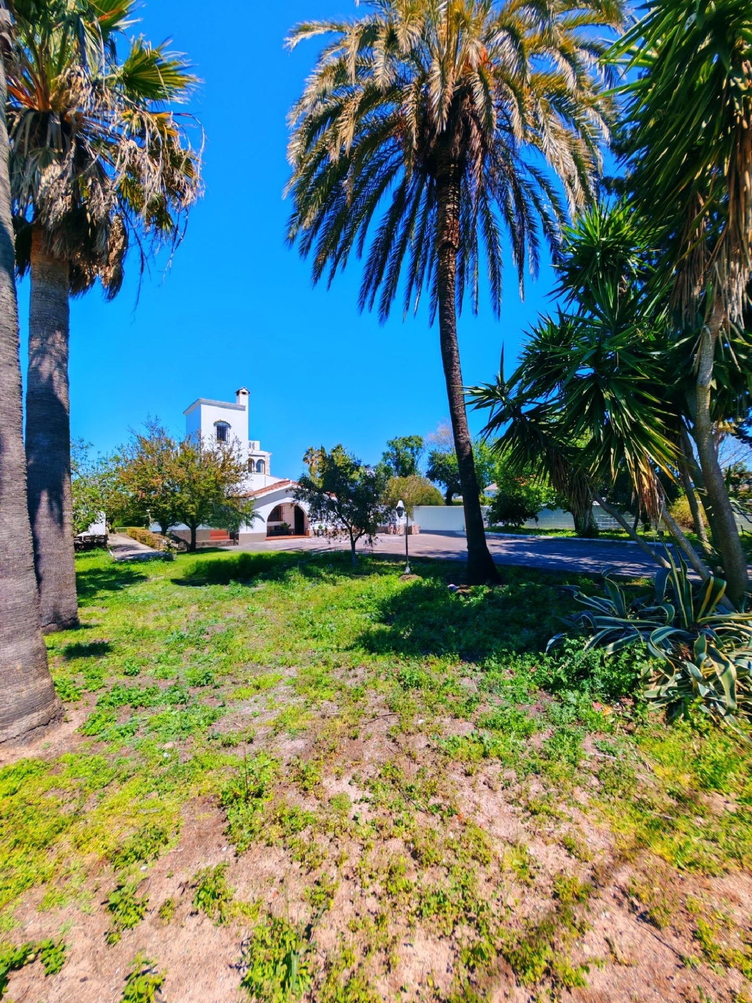  kaufen Villa Chiclana De La Frontera Bahía De Cádiz 5