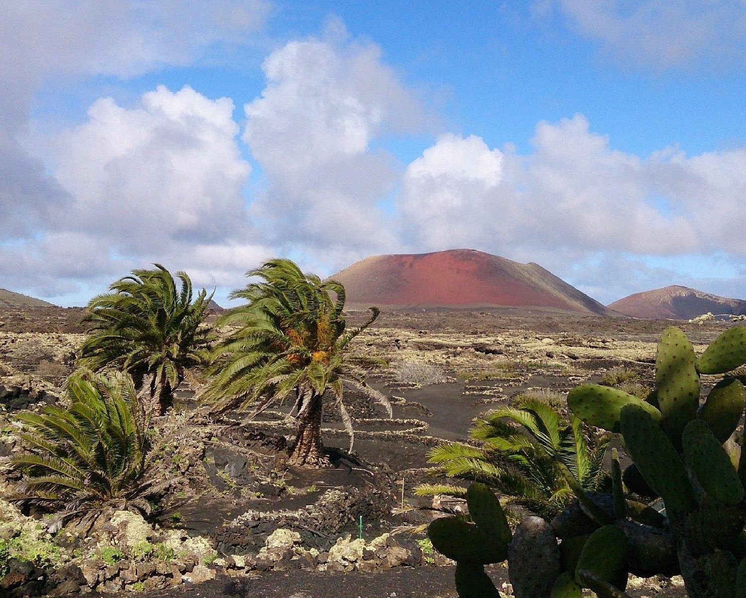  till salu villa Correntias Altas Baix Segura 1