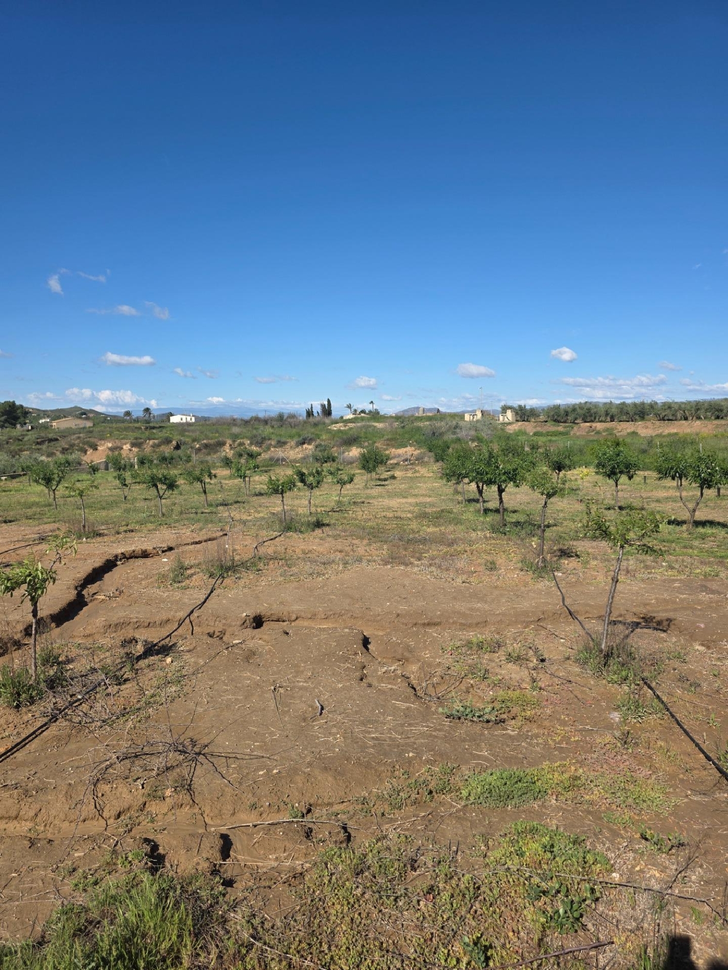  en venta chalet Huércal De Almería Comarca Metropolitana De Almería 7