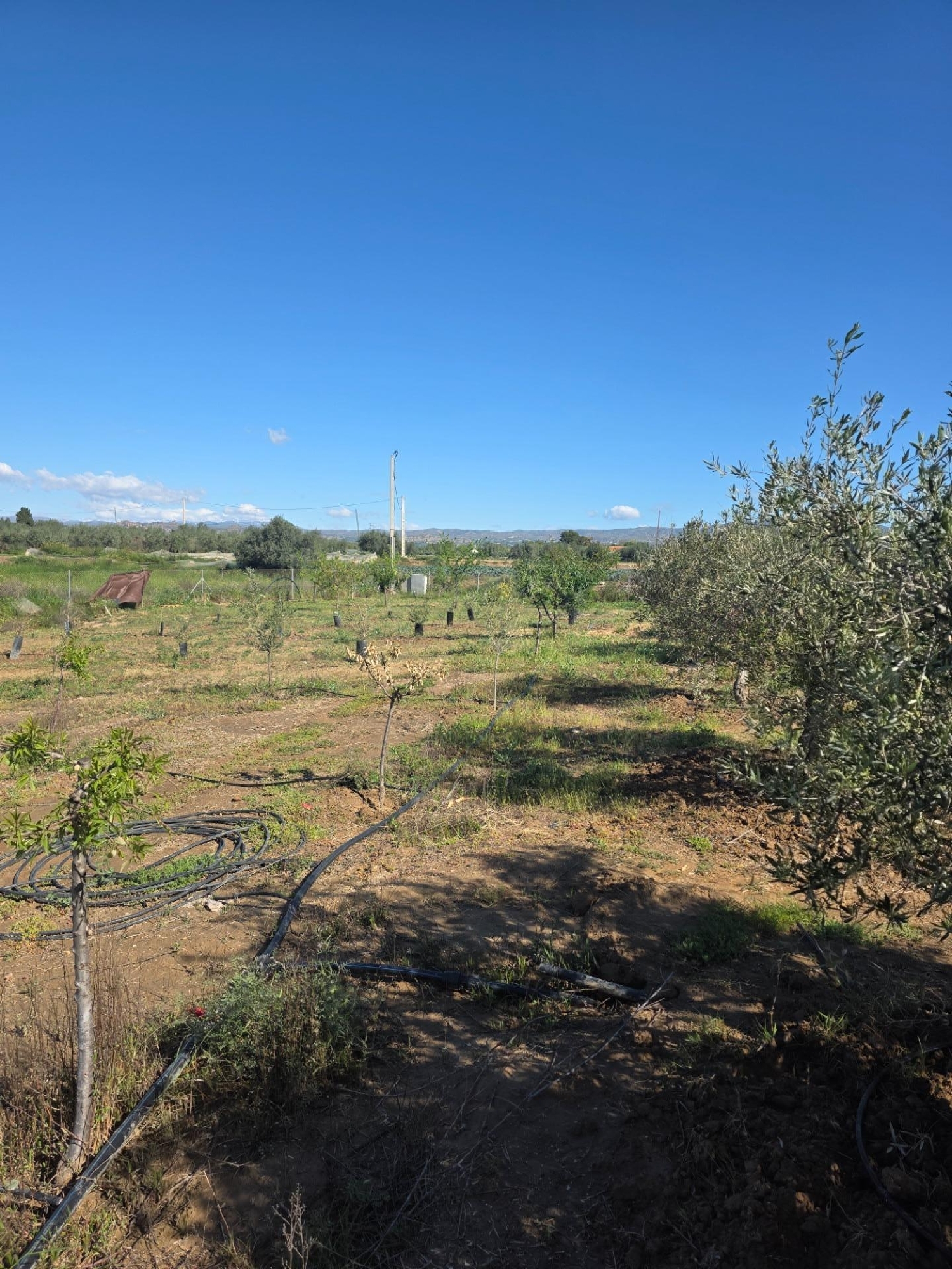  en venta chalet Huércal De Almería Comarca Metropolitana De Almería 6