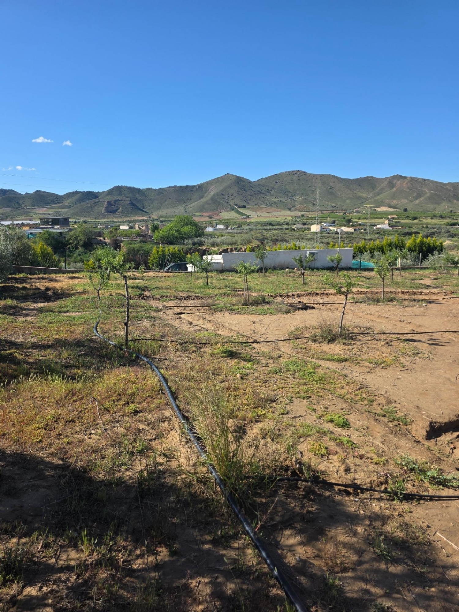  en venta chalet Huércal De Almería Comarca Metropolitana De Almería 8