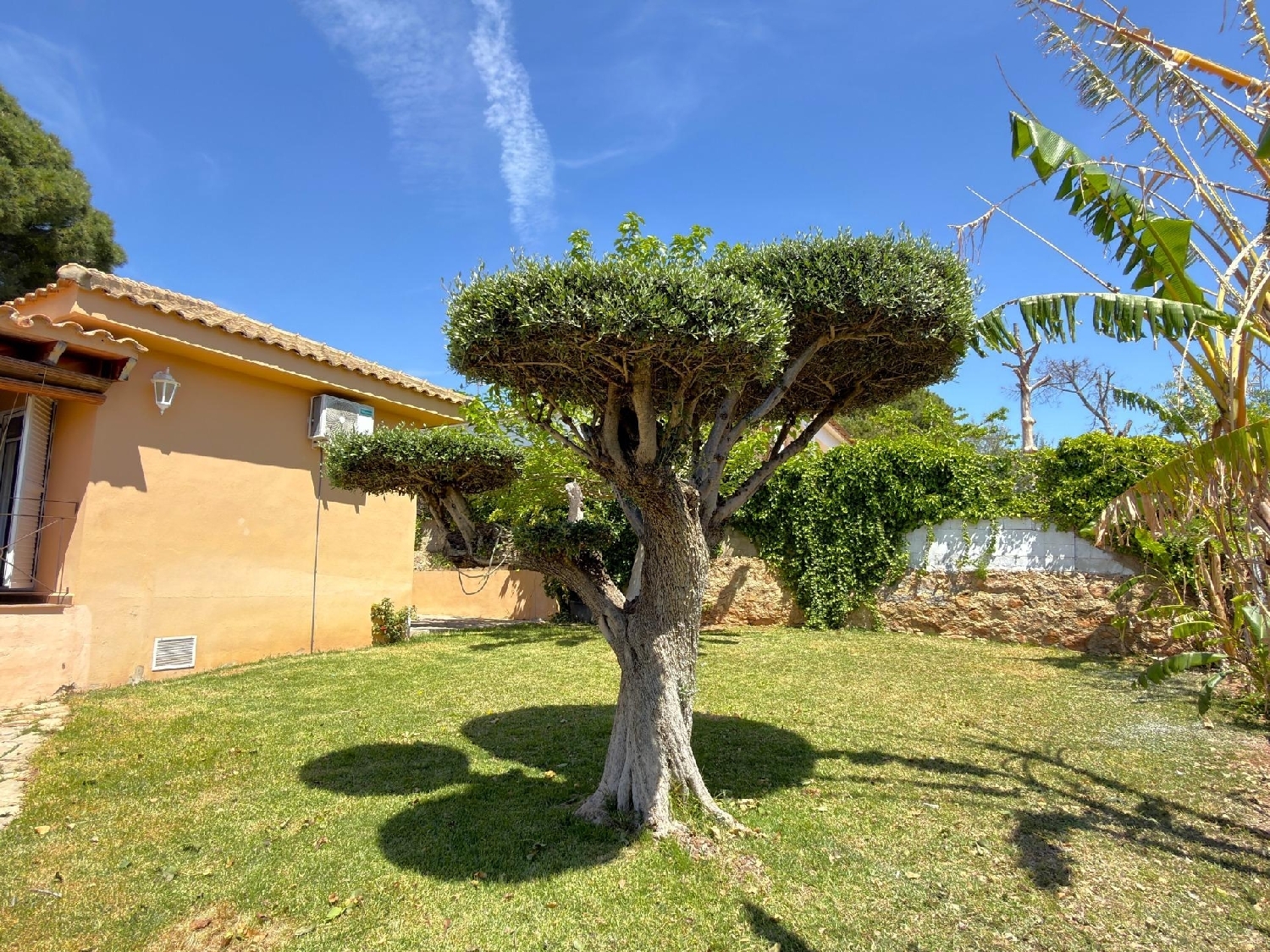  kaufen Villa Naquera Camp De Túria 6