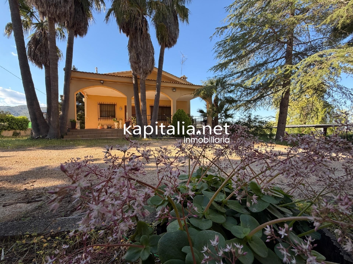  for sale villa Ontinyent Vall D'albaida 6