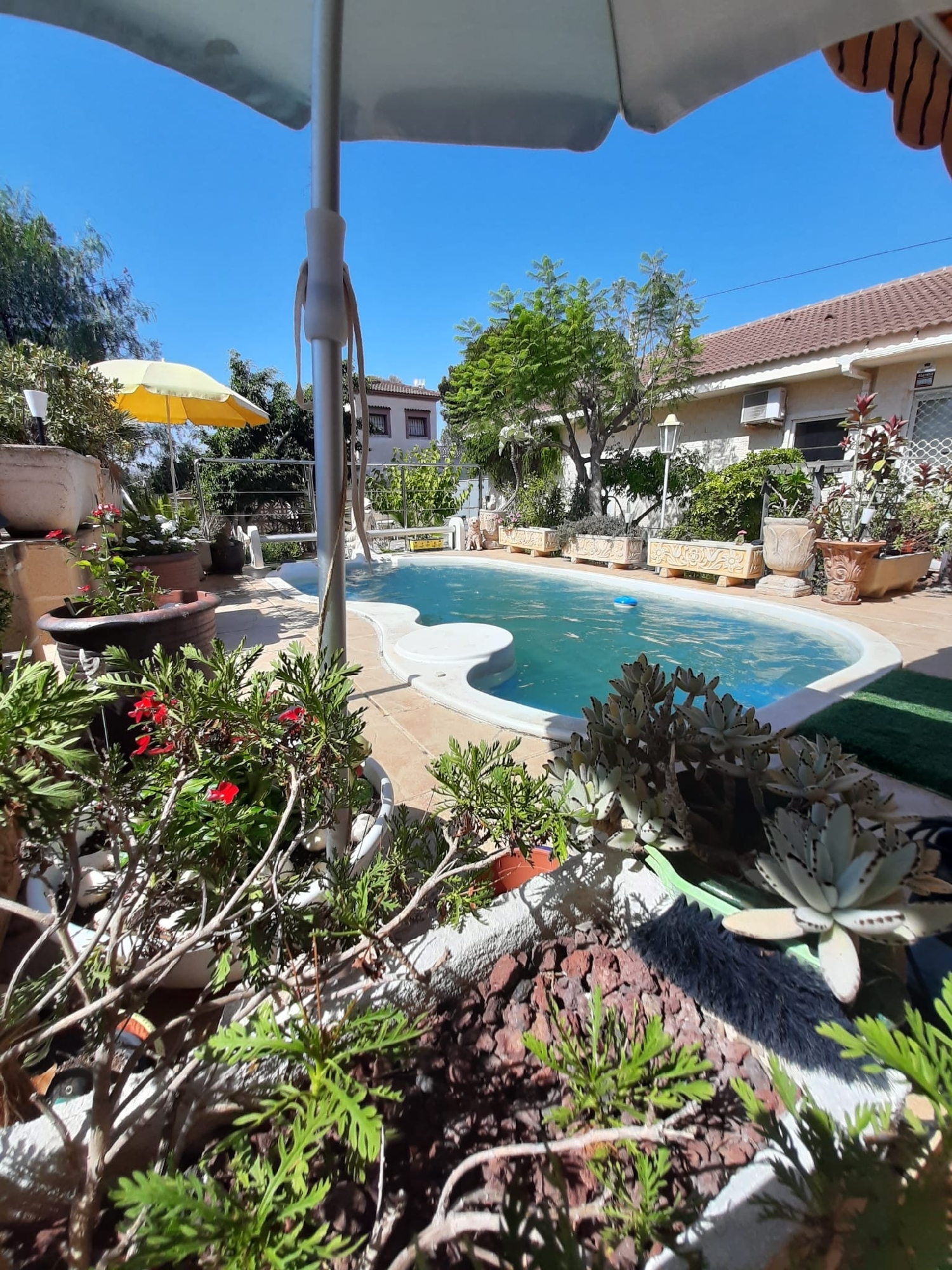  à vendre villa Orihuela Costa Baix Segura 1