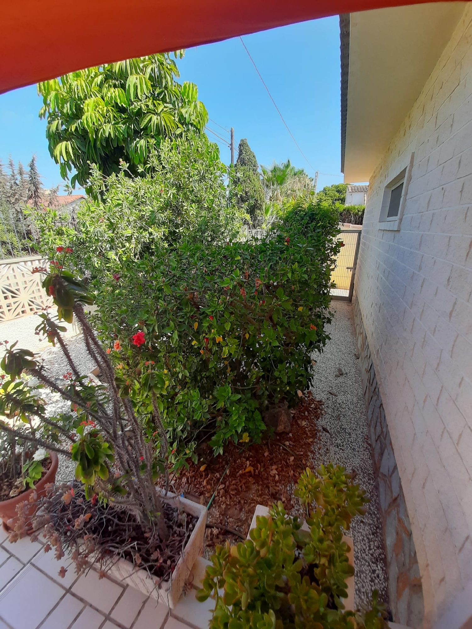  à vendre villa Orihuela Costa Baix Segura 6