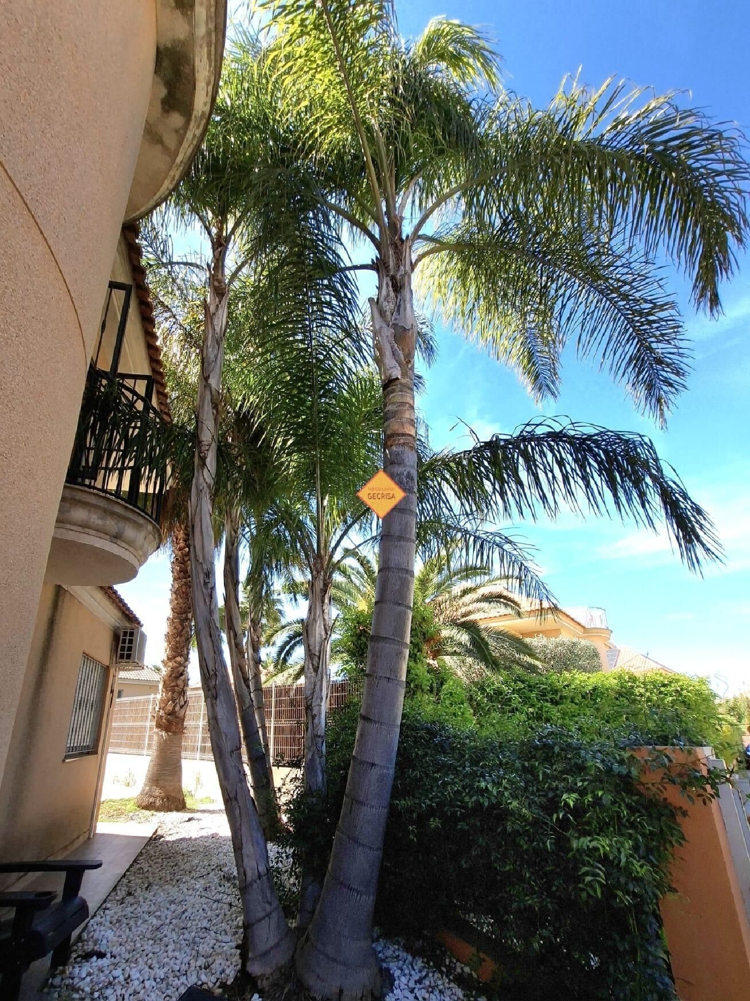  for sale villa Paterna Horta Oest 4