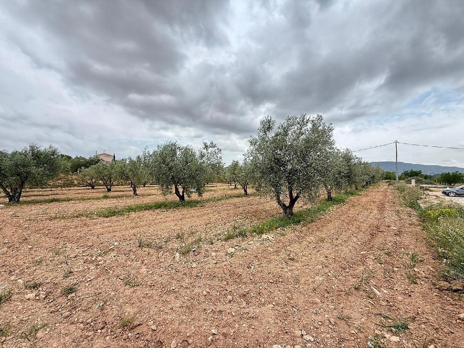  te koop villa Pinoso Vinalopó Mitjà 31