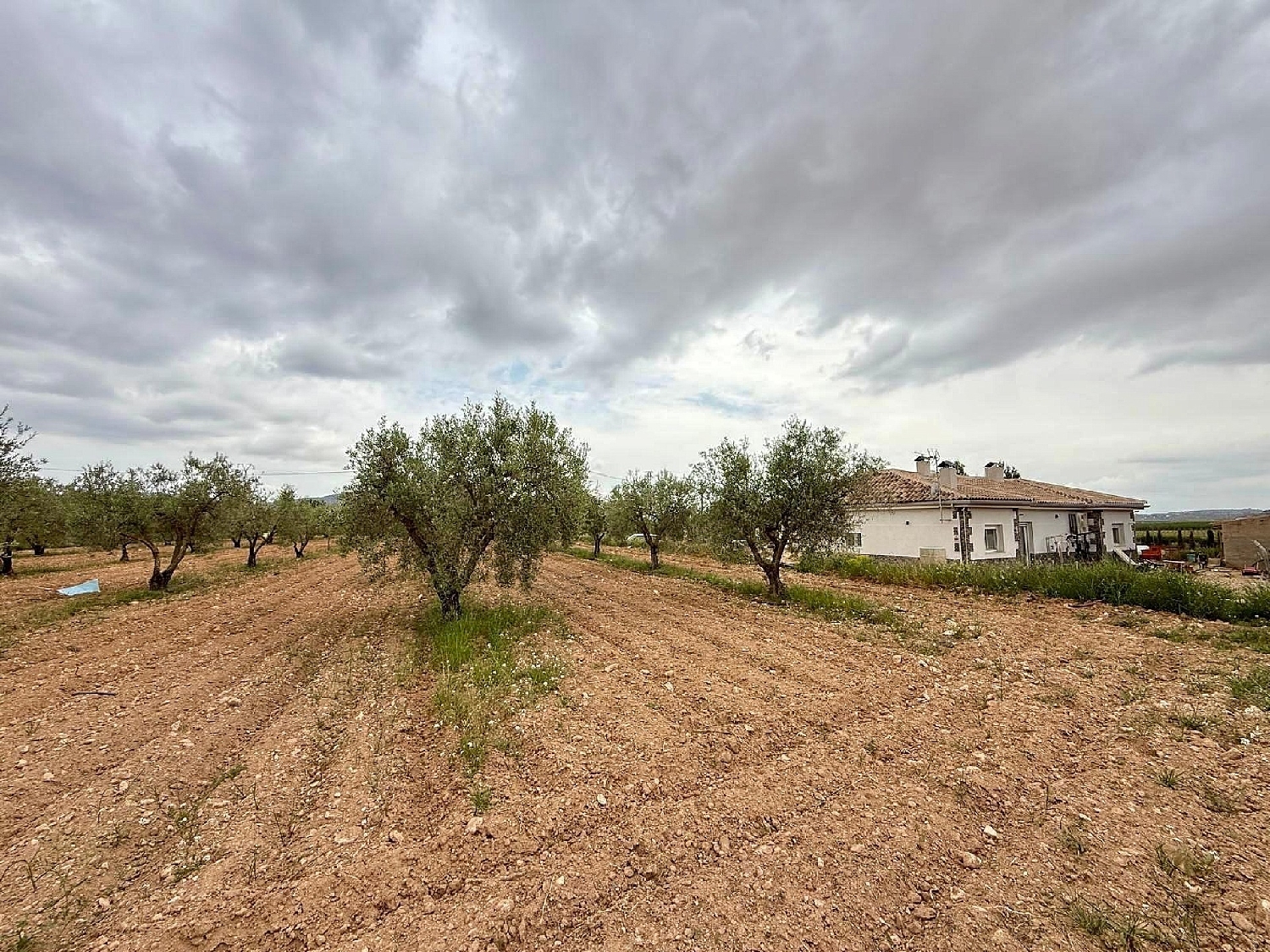  te koop villa Pinoso Vinalopó Mitjà 30