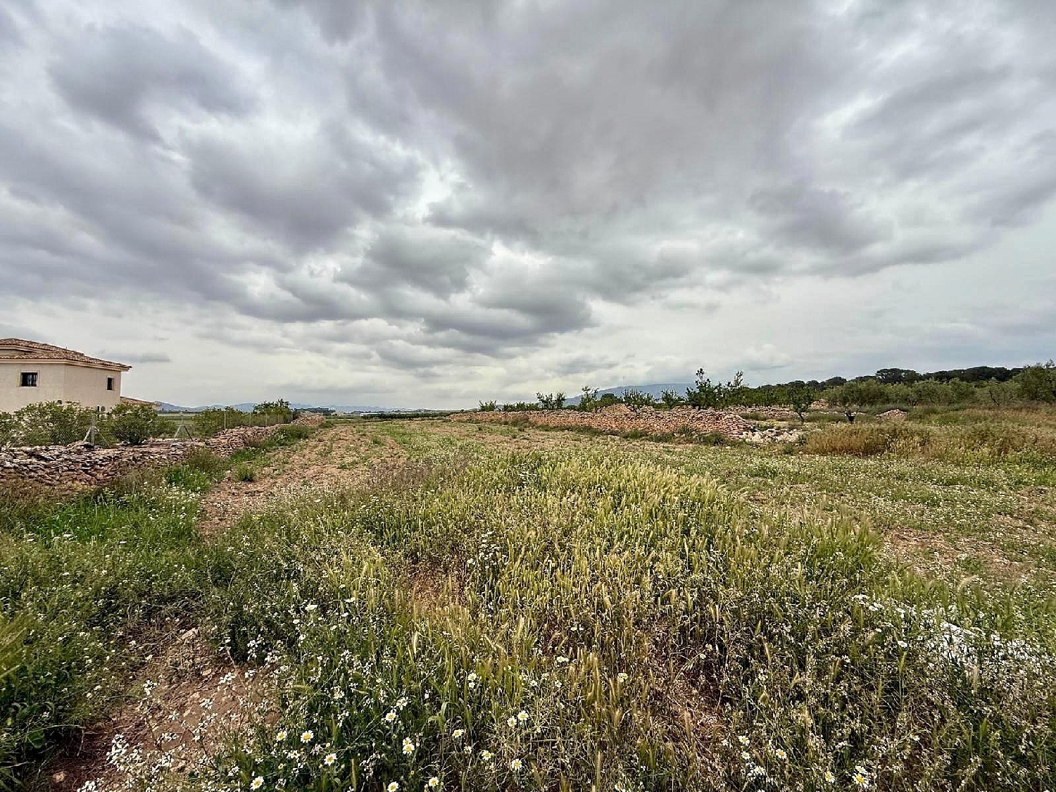  te koop villa Pinoso Vinalopó Mitjà 32