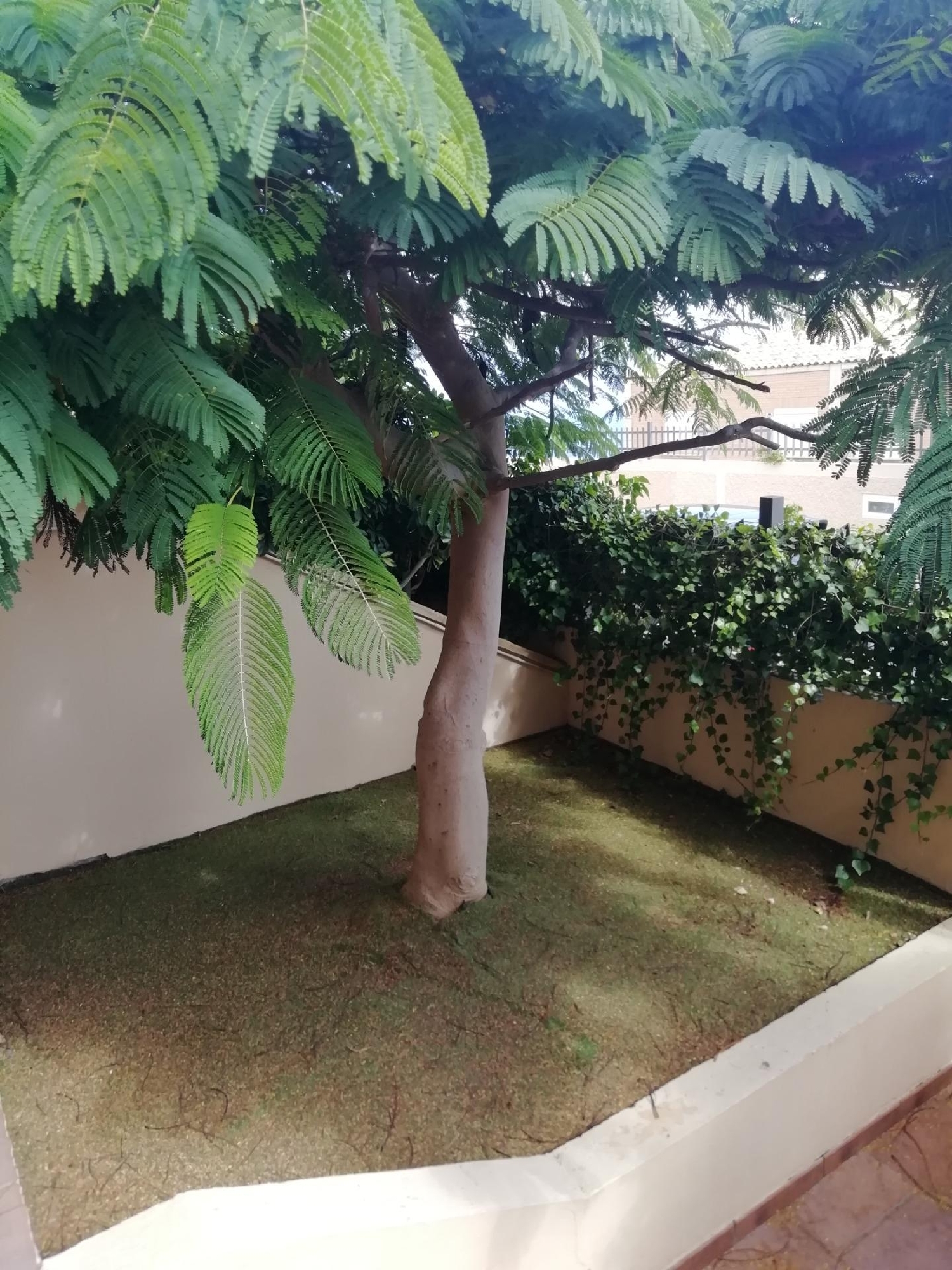  à vendre villa Rosario Ortegal 4