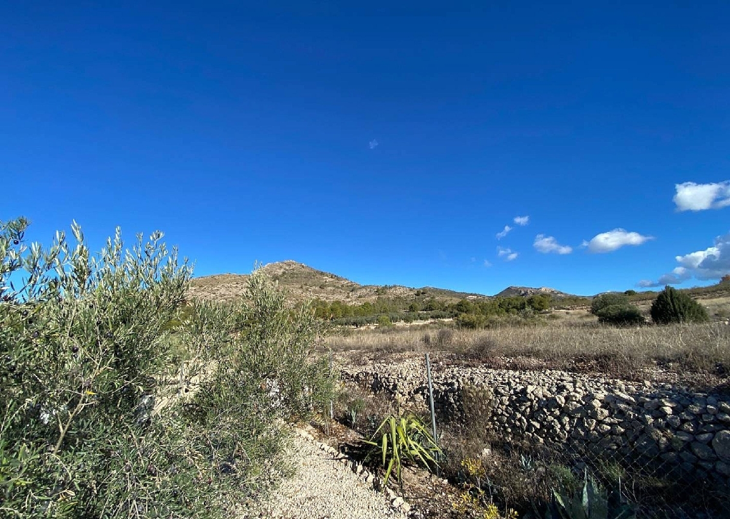  kaufen Villa Sax Alt Vinalopó 16