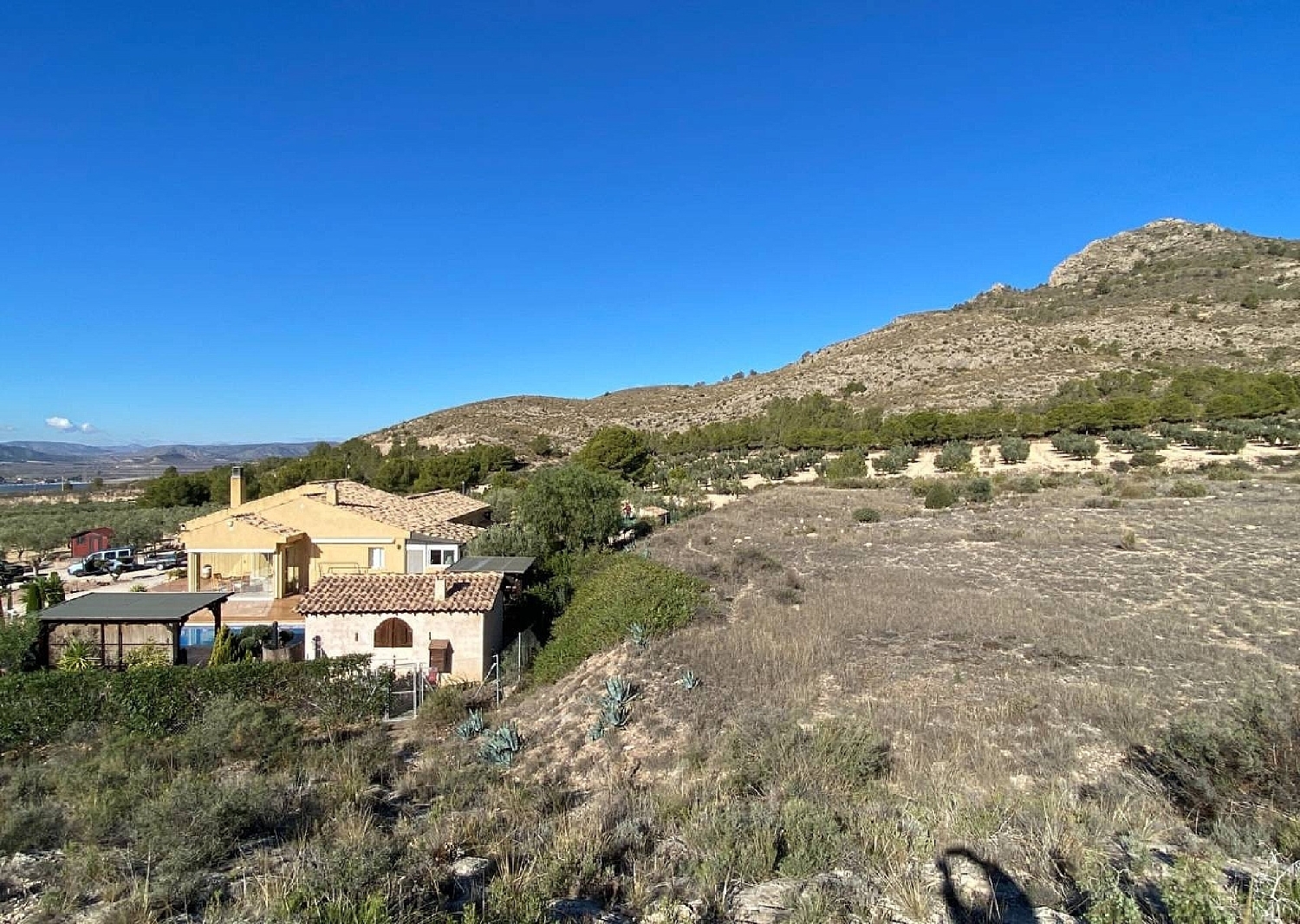  kaufen Villa Sax Alt Vinalopó 6