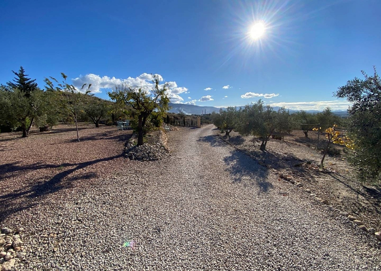  kaufen Villa Sax Alt Vinalopó 11