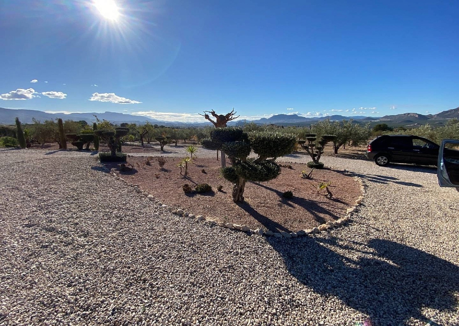  kaufen Villa Sax Alt Vinalopó 12