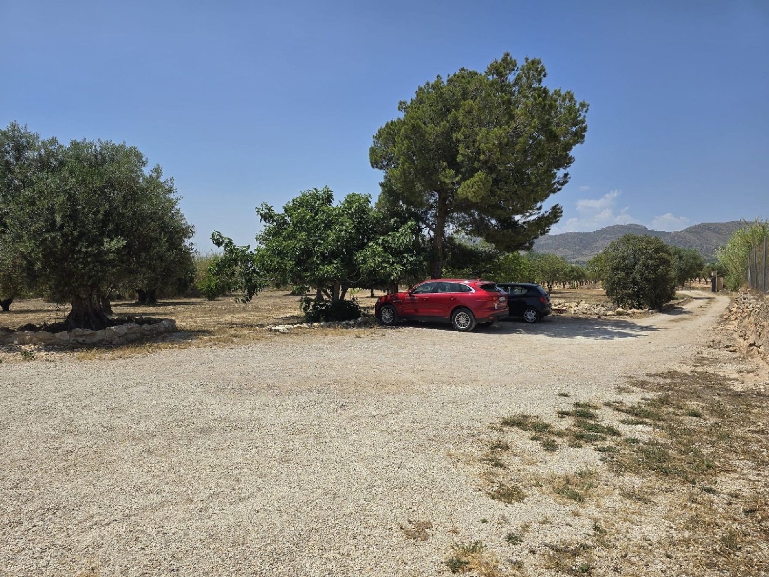  kaufen Villa Sax Alt Vinalopó 21