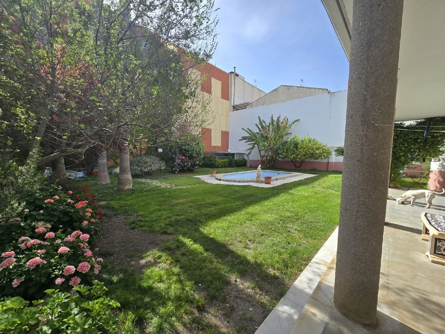  kaufen Villa Sax Alt Vinalopó 37