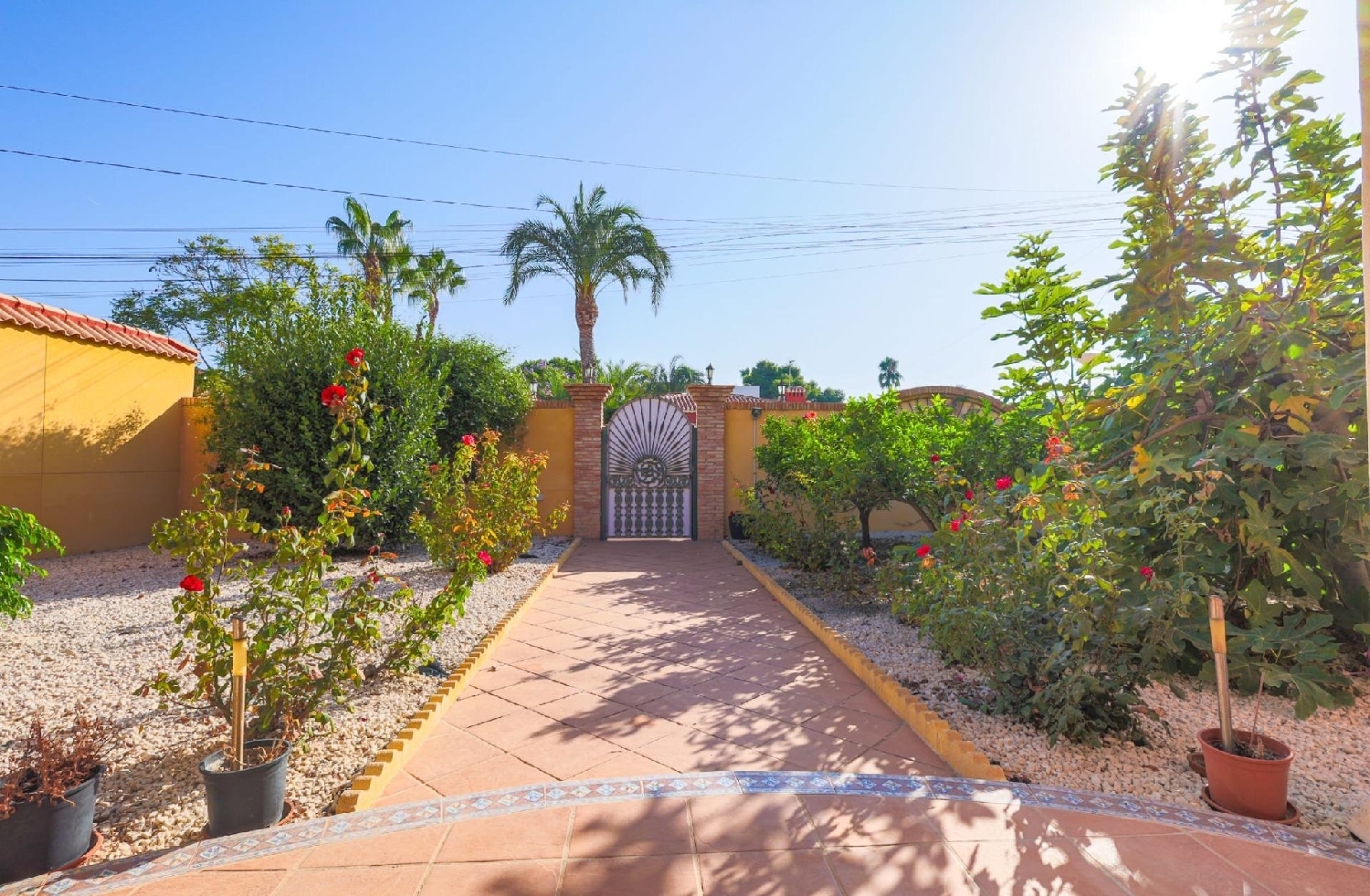  kaufen Villa Torrevieja Baix Segura 6