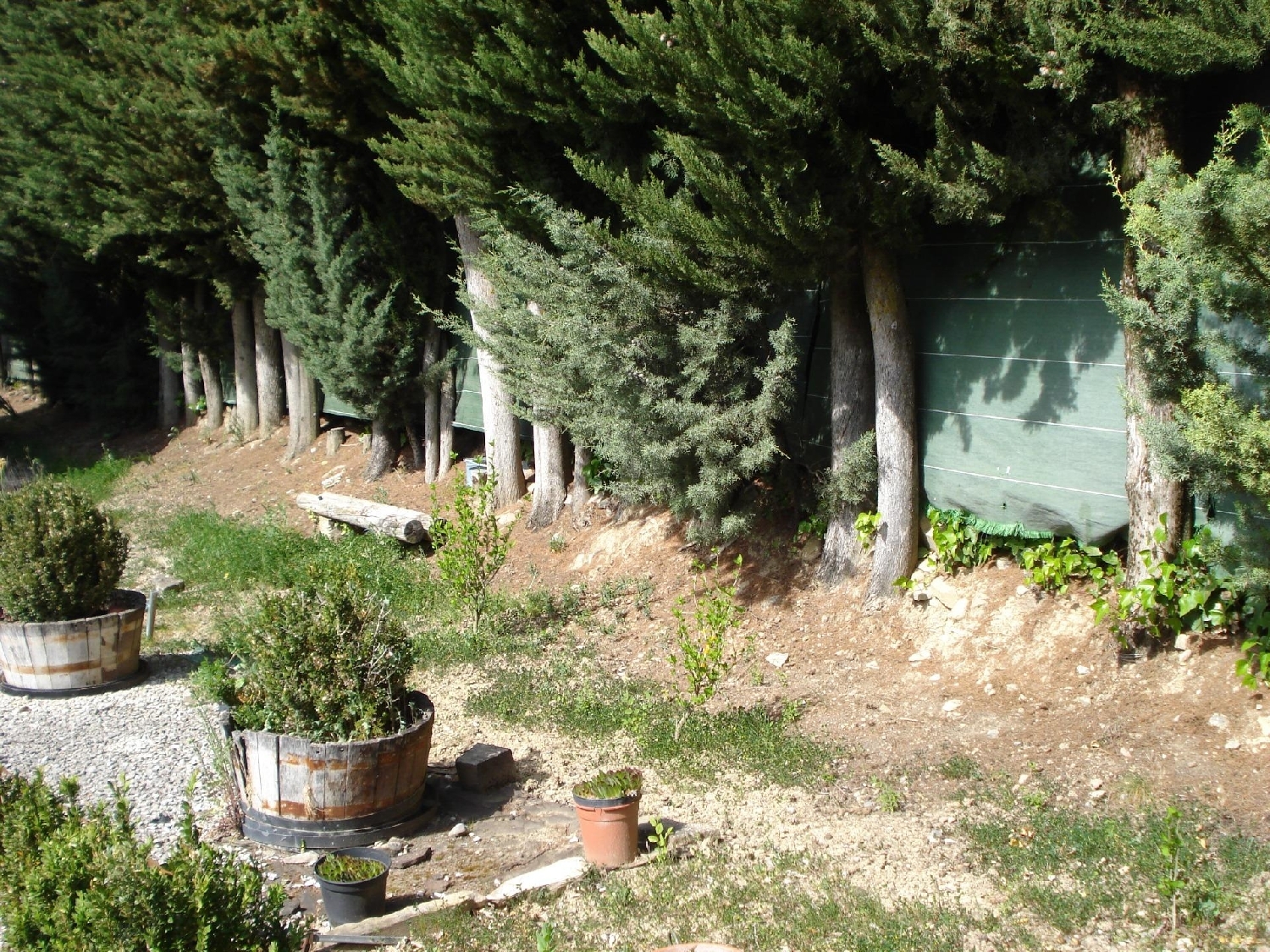  till salu villa Villanueva De Longuida Pirineo 4