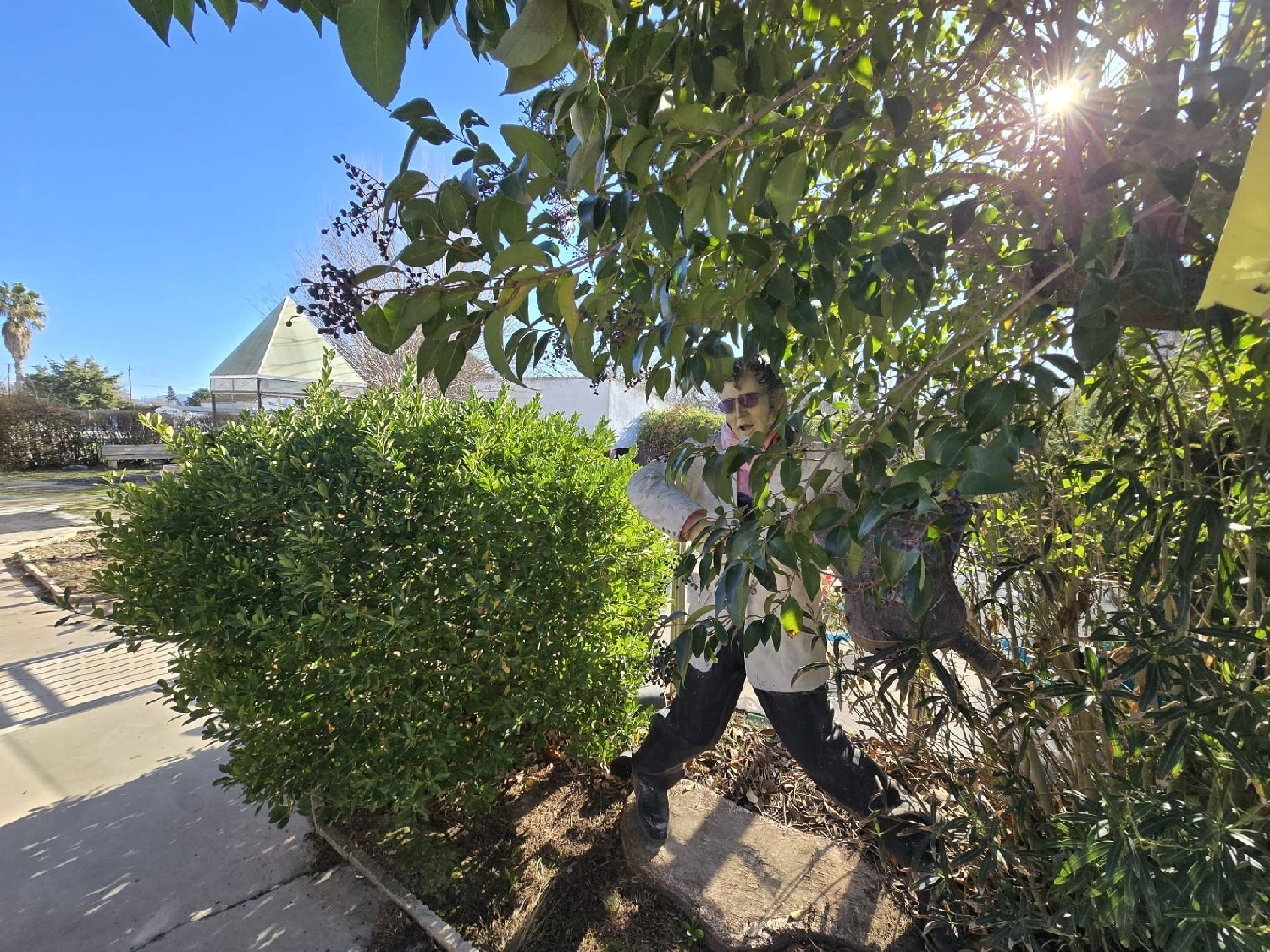  kaufen Villa Villena Alt Vinalopó 7