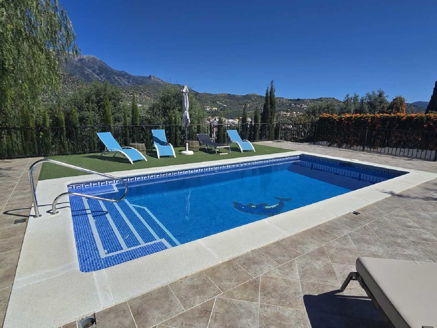  till salu villa Viñuelas Vega De Alcántara 8