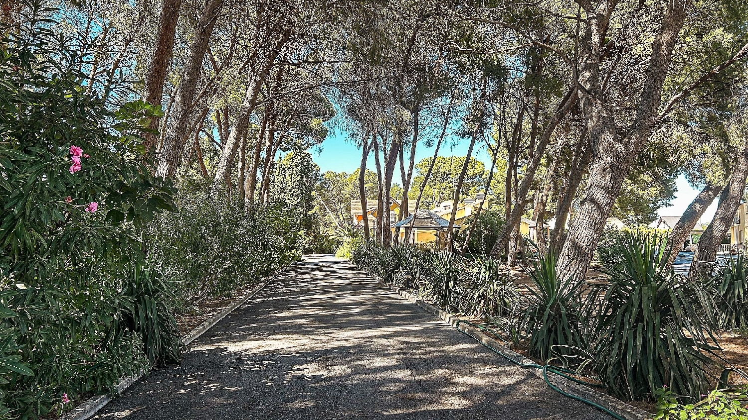  te koop villa Yecla Altiplano 20