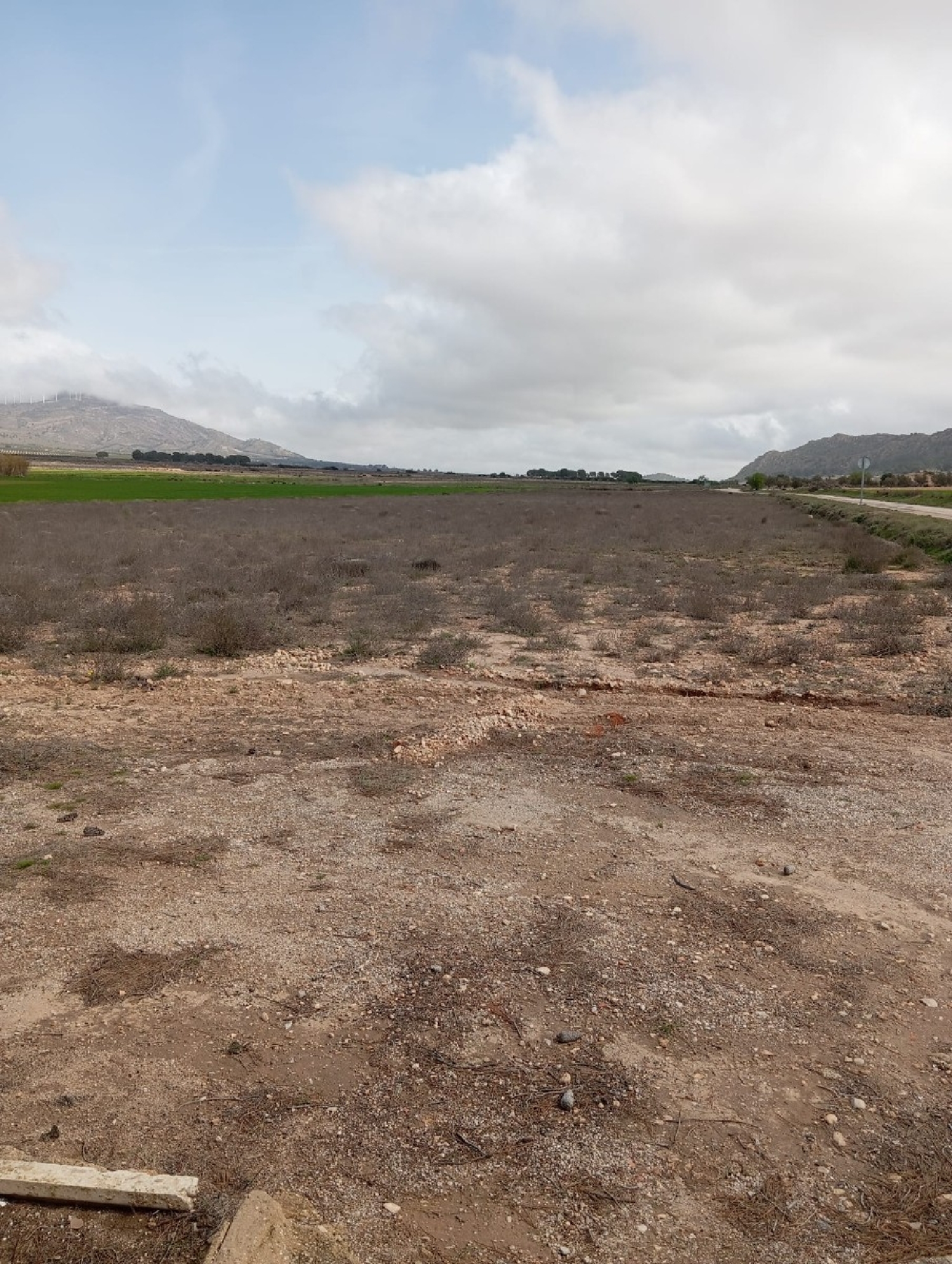  for sale villa Yecla Altiplano 7