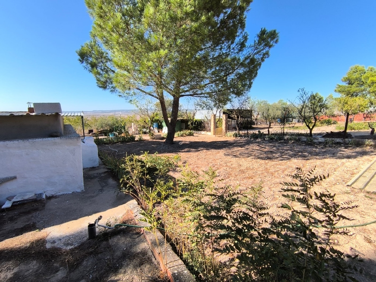  for sale villa Yecla Altiplano 4