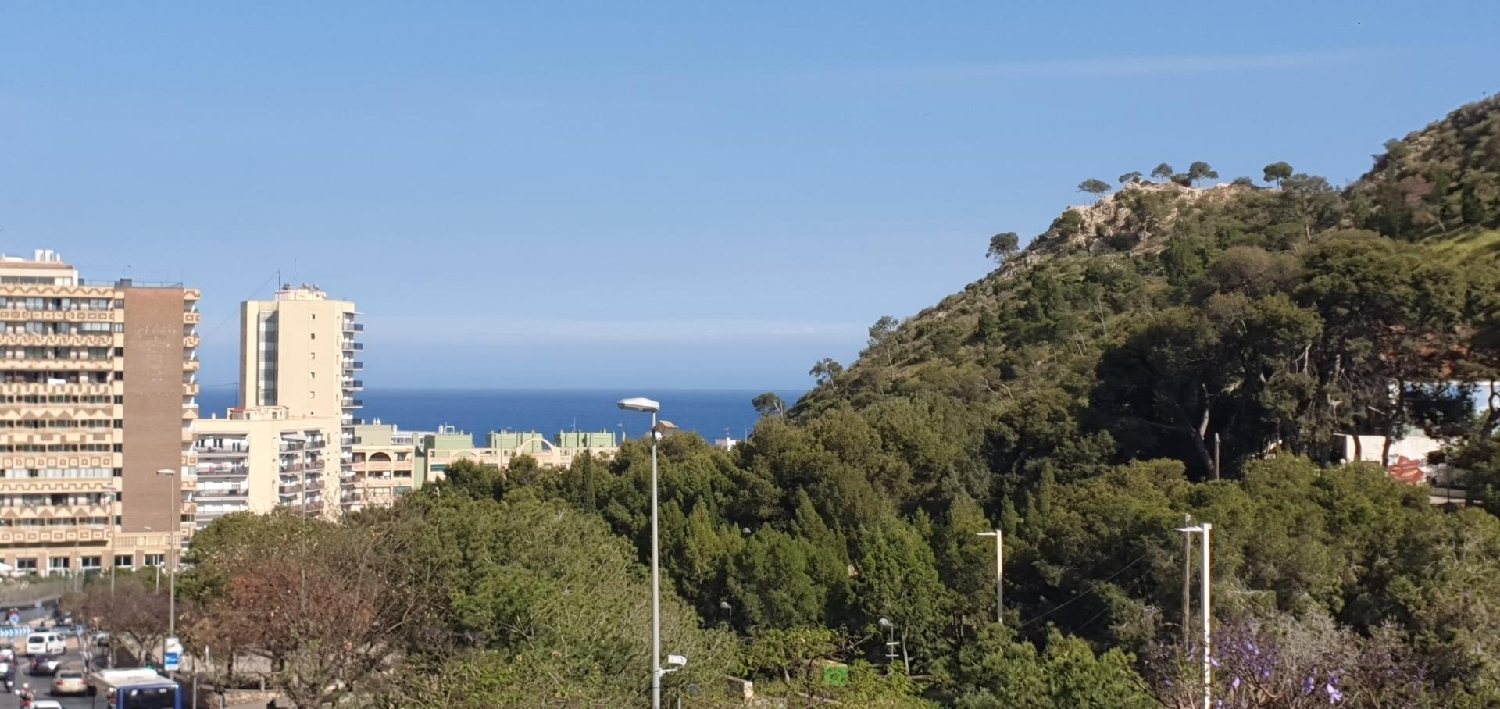 kaufen Wohnung Alicante Centro 03001 Alacantí 1