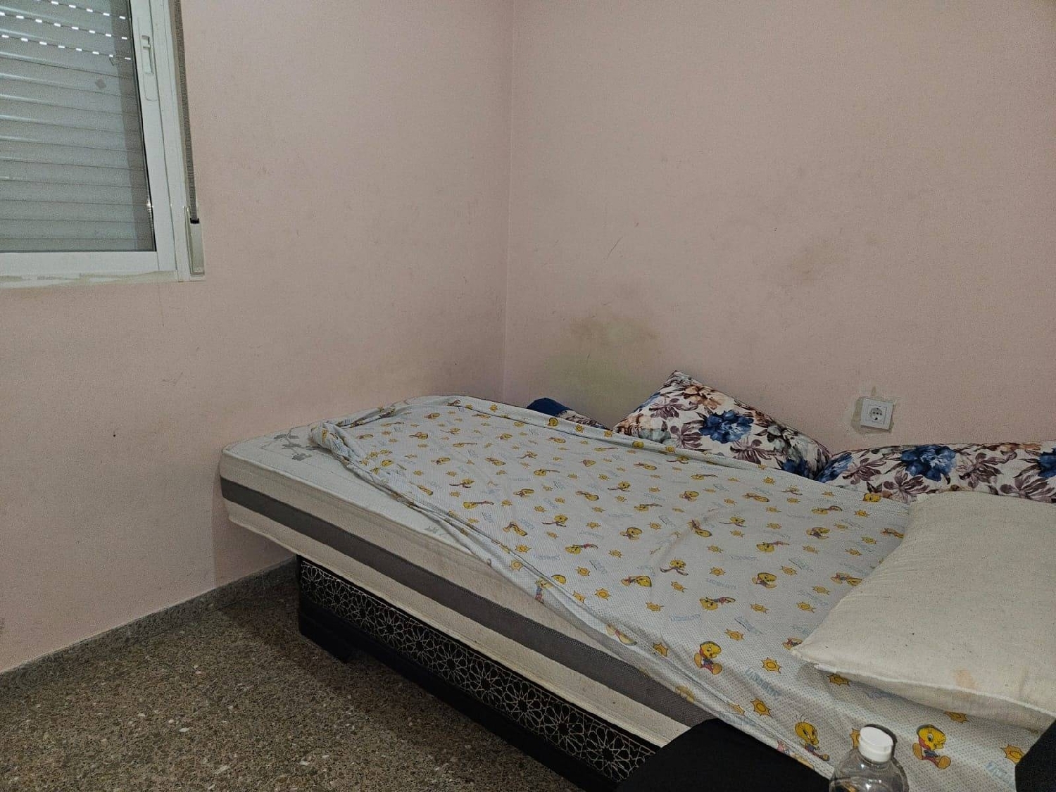 kaufen Wohnung Alicante Centro 03001 Alacantí 6