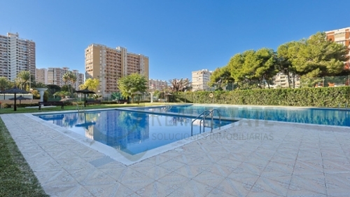 Alicante Centro 03001 Alacantí apartment foto 6379325