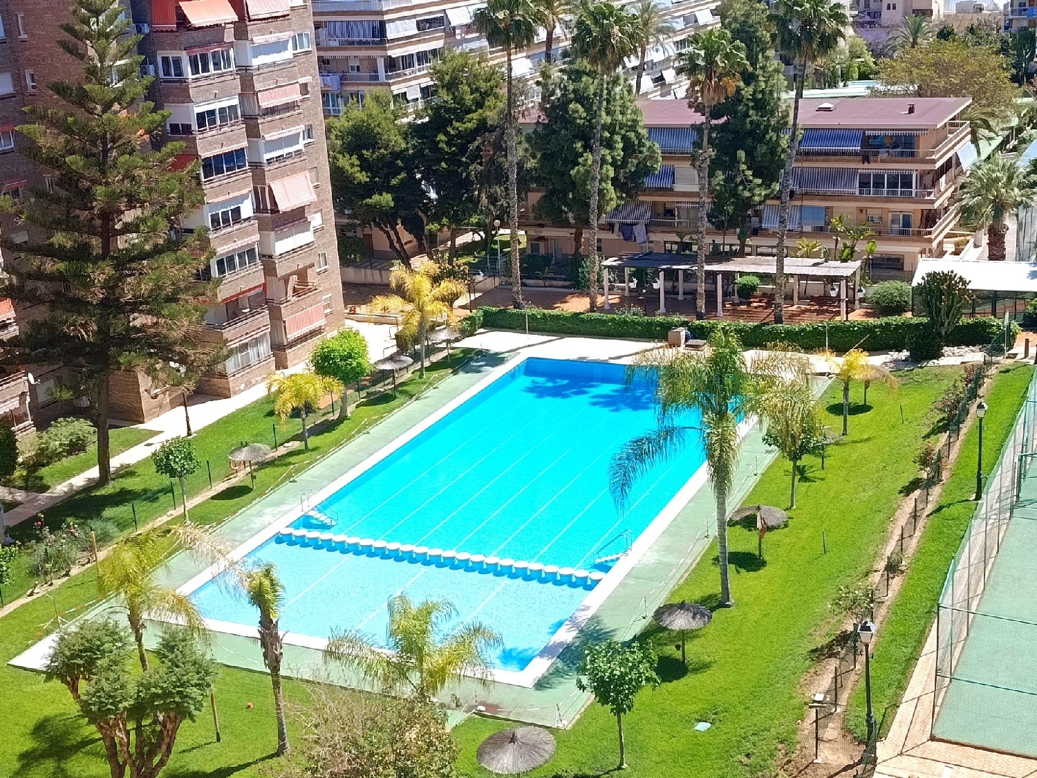  kaufen Wohnung Alicante Centro 03001 Alacantí 2